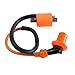 Atv Scooter Utv Dirt Bike Go Kart High Performance Racing Ignition Coil 110cc 150cc 200cc 250cc 300cc New