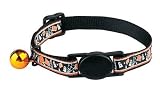 Halloween Happenings Cat Collar