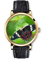 SPRAWL Aanalog Fashion Series Gold Ladies Watches of Genuine Black Leather Strap,Unique Wrist Watch for Women Girls Designed with Black butterfly on green leaves