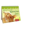 Kleine Freunde - Kaninchen 2013