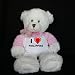 Plush White Teddy Bear (Dena) toy with I Love Philippine