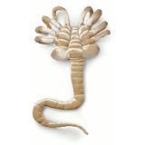 Alien Plush Facehugger