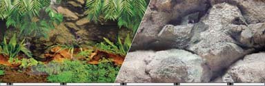 Double Sided Rain Fresh Aquarium Background, 19″ x 50″