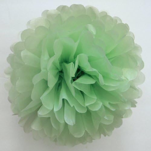 Set of 5 Tissue Paper Pom Pom - PomPomSale Brand - Wedding / Baby Shower / Birthday Party / Nursery Decorations (Medium 13", Light Green)
