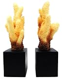 Stunning Coral Head Reproduction Book Ends Bookends