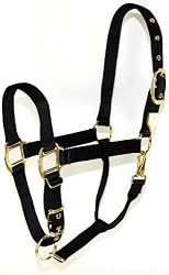 Hamilton 1-Inch Nylon Halter with Adjustable Chin, Black - Yearling Size (300-500 lbs.)
