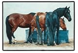 Simple Pleasure Fiddler's Elbow Three Horses AT the Water Tank Western Decor Rug Mat Doormat