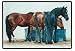 Simple Pleasure Fiddler's Elbow Three Horses AT the Water Tank Western Decor Rug Mat Doormat