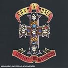 Appetite for Destruction