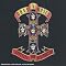Appetite for Destruction