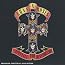 Appetite for Destruction