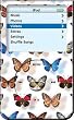 Butterfly Design - Apple iPod video 30GB Hard Case iJacket - Shock Absorbent Hard Protective Faceplate Cover + FREE iPod video Screen Protector Shield
