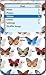 Butterfly Design - Apple iPod video 30GB Hard Case iJacket - Shock Absorbent Hard Protective Faceplate Cover + FREE iPod video Screen Protector Shield