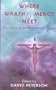 Where Wrath and Mercy Meet: Proclaiming the Atonement Today (Oak Hill College annual school of theology series)