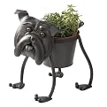 Bull Dog Planter