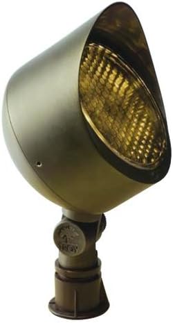 Troy Lighting R-F136B-NAZ Natural Antique Bronze Landscape Flood Light