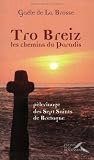 Tro Breiz, les chemins du Paradis : Pèlerinage des Sept Saints de Bretagne