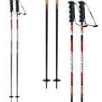 Bastoni sci Atomic Redster 10