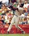 Barry Bonds San Francisco Giants 8x10 Photo