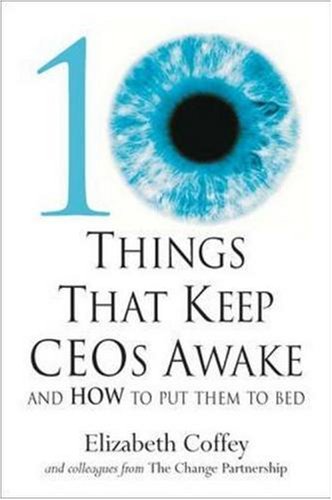 10 Things That Keep CEOs Awake at Night: And How to Put Them to Bed