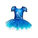 Jastore Girls Princess Crystal Shoes Print Dance Dress Ballet Leotard Tutu Dress