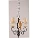 Chandelier 3 light fixture driftwood finish silk shades w birds Aviary Coll