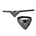 2-TECH Hunde Katzen Halsband mit Tuch 29-39 cm, Schwarz
