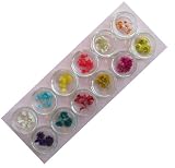 Assortissement fleurs séchées (#40763)