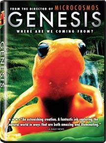 Genesis: Where Are We Coming From?