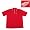 Detroit Red Wings NHL 