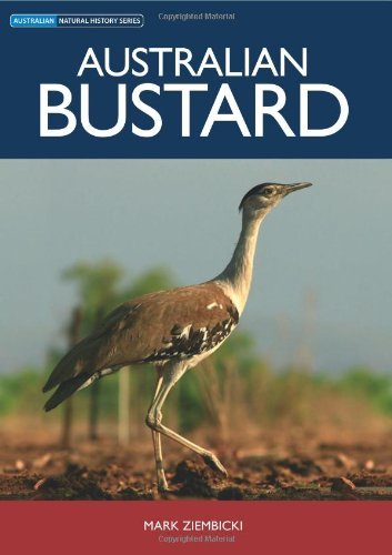 Australian Bustard (Australian Natural History)