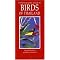 Birds (Southeast Asia)