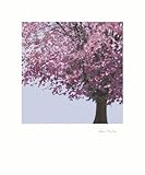 IMAGE OF Spring Blossom II Beautiful MUSEUM WRAP CANVAS Print with Added BRUSHSTROKES Rosie Mclean 20x24