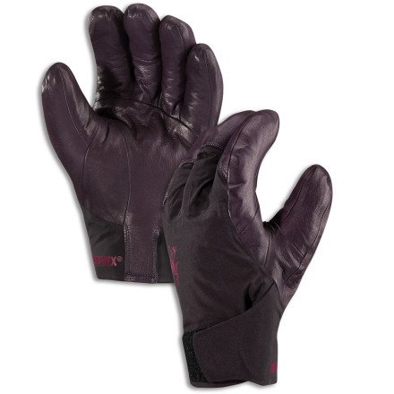 Arc'teryx Vertical SV Glove - Women's