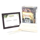 Fossil Photo Frame Dig it Out Kit