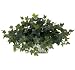 Nearly Natural Ivy W/White Wash Planter Silk Plant