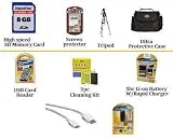 Ultimate Accessory Kit For The Canon VIXIA HF R100 HF R10 Flash Memory Camcorder Includes 4GB Secure Digital High Capacity (SDHC) Card Class, 4 Hour Batttery & Rapid Charger, Portable Microphone, HDMI Cables, Carrying Case + Tripod + More