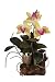 Cattleya w/Root Base Silk Orchid Plant - Yellow