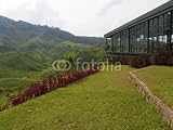 Wallmonkeys Peel and Stick Wall Decals - A Cafe on the Edge of a Hill in the Cameron Highlands Malaysia - Removable Graphic