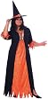 Plus Size Adult Gothic Witch Costume