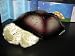 Twilight Turtle Night Light Stars Constellation Lamp