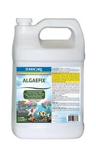 API Pondcare Algaefix Algae Control, 1-Gallon