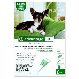 12 MONTH Advantage Flea Control Green: For Dogs under 10lbs.