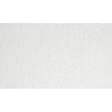 Imperial VP131604 Floral Trail Paintable Wallpaper by Imperial