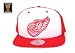 Detroit Red Wings Vintage Snapback Adjustable Plastic Snap Strap Back Hat / Cap