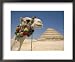 Dromedary Camel Standing Before the Step Pyramid of Djoser Places Framed Art Poster Print by Richard Nowitz, 22x18