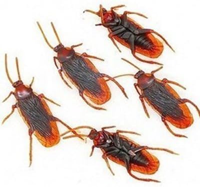 12 Pcs Fake Rubber Cockroaches for Fool's Day, Halloween JRYP001 by kukubay