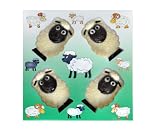 Gwynedd Sheep Gift Pack 125 g (Pack of 3)