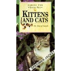 Caring for Your Pet Kittens and Cats