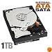 Western Digital Caviar Black 1 TB Bulk/OEM Hard Drive 3.5 Inch, 32 MB Cache, 7200 RPM SATA II WD1001FALS